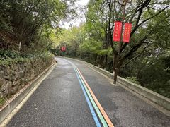 -杭州半山国家森林公园