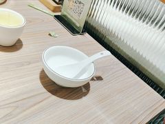 -探窝·竹笙椰子鸡(杨箕店)