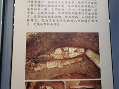 -荆州博物馆