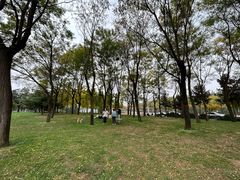 -洨河生态公园