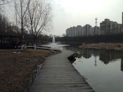 -前关湿地公园