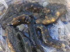 -添福来墨鱼饺子 · 海鲜东北菜(大连星海·黄浦路店)