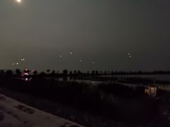 -合肥滨湖国家森林公园