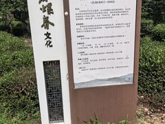-缥缈峰景区