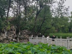 -莲湖公园