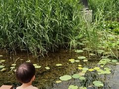 -好利来(新华百货店)