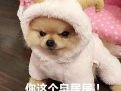 -火宴山海鲜自助火锅(万宴城店)