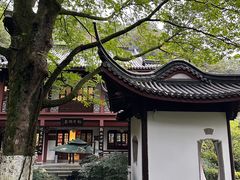 -十八棵（老龙井）御茶园(老龙井店)