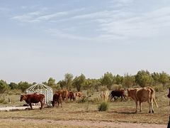 -亿利库布其七星湖沙漠生态旅游区
