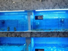 -香山湖渔家大院