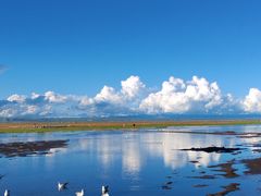 -青海湖仙女湾景区