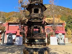 -遵化市禅林寺古银杏风景园