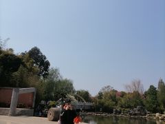 -洛龙公园