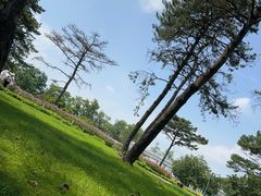 -沈阳植物园