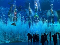 -哈尔滨波塞冬海底世界