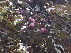 -怪噜范·贵阳小吃大排档(金源旗舰店)