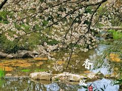 -慧因高丽寺