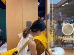 -帕帕拉兹宠物(亚洲旗舰店)