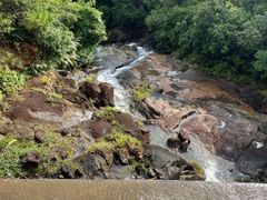 -广州白江湖森林公园