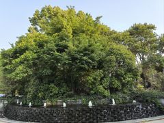 -扬州瘦西湖汇金酒店