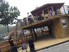 -大连森林动物园