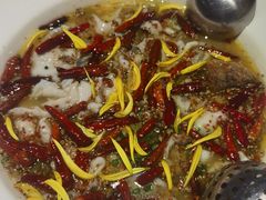 老坛子酸菜鱼-太二酸菜鱼(武汉光谷保利店)
