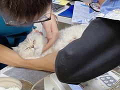 -康成宠物医院24H·CT·核磁共振