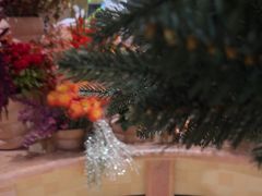 -BEAST野兽派(上海浦东嘉里城店)