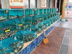 -四海鲜渔家菜(黄金海岸店)