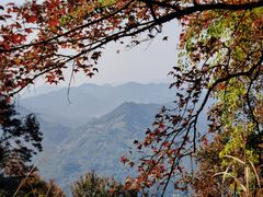 -广州市石门国家森林公园