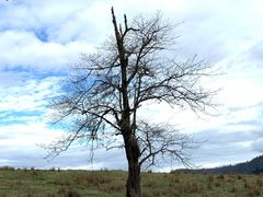 -硗碛藏寨·神木垒景区