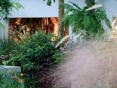 -自由生长植物工作室(深港花卉中心店)