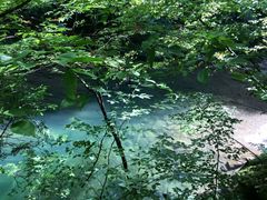 -黎坪国家森林公园