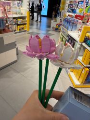 点击看大图 -乐高授权专卖店(浦东嘉里城店)