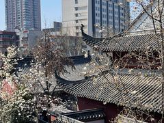 -长春观