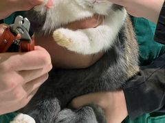 -雨林宠物医院 非犬猫异宠专科