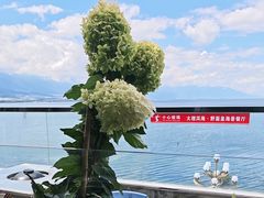 -野菌皇海景野生菌火锅(滨海大道店)