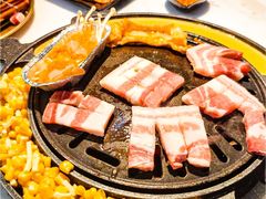 -炉九·东北炭火烤肉(南国北都店)