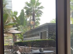 -大堂吧·雪茄吧·威士忌·下午茶(深圳机场希尔顿逸林酒店)