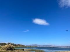 -洱海月湿地公园