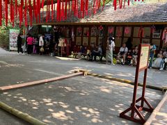 -西双版纳原始森林公园