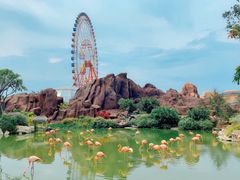 -芽庄珍珠岛游乐园