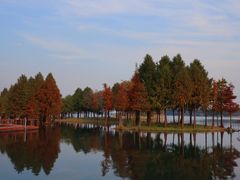 -贡湖湾湿地公园
