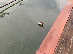 -西湖公园(鼓楼区)