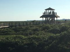 -北海金海湾红树林生态旅游区