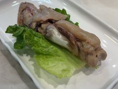 -丁老爷子苏香圆