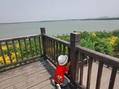 -天津东丽湖风景区