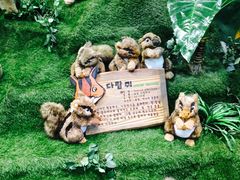 -济州岛泰迪熊博物馆