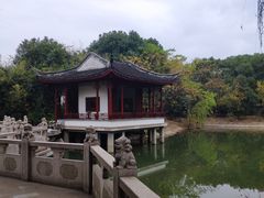 -华西村