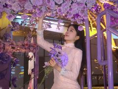 -龙湖南京江北天街